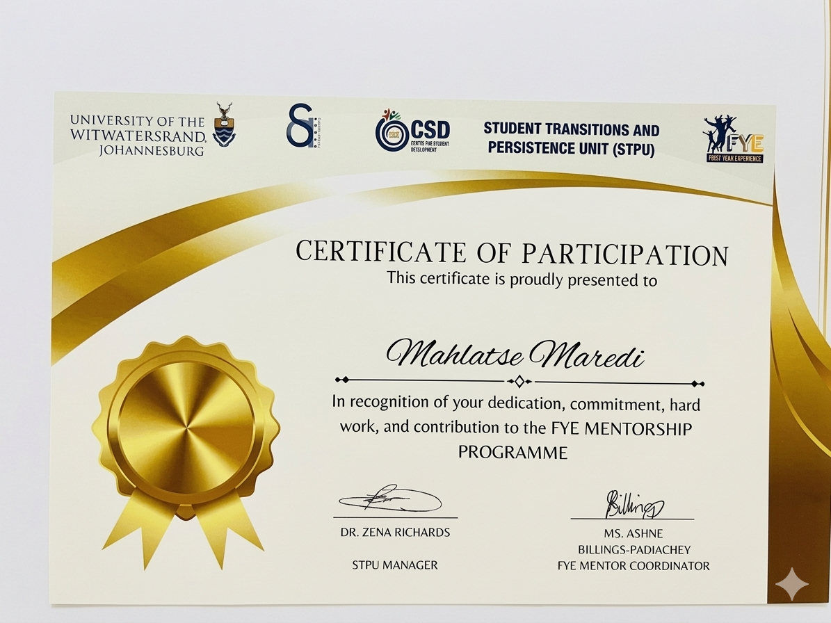 Wits STPU Mentorship